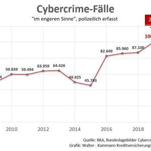 Cybercrime Statistik Identitätsdiebstahl
