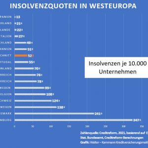 Insolvenzen 2021 Insolvenzquoten