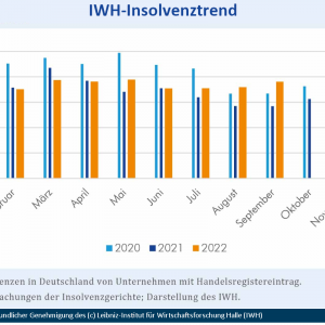 Insolvenzen 2022 Kreditlimite erhöhen